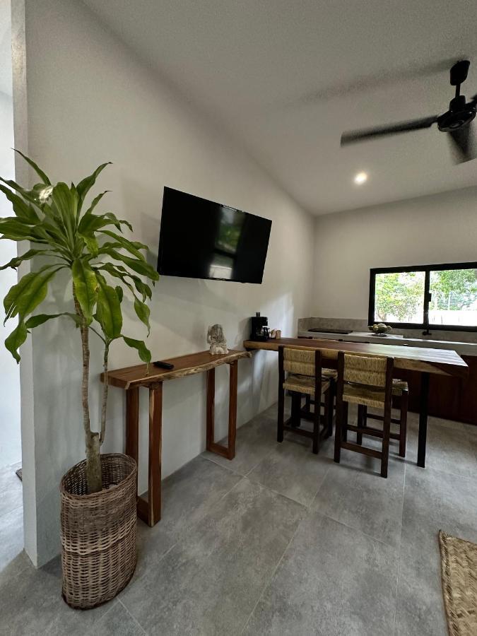 Cenote Azul Casa Arabeヴィラ エクステリア 写真