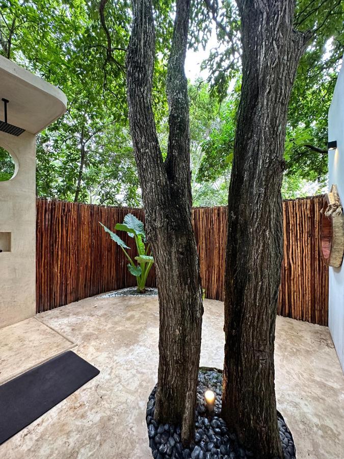 Cenote Azul Casa Arabeヴィラ エクステリア 写真